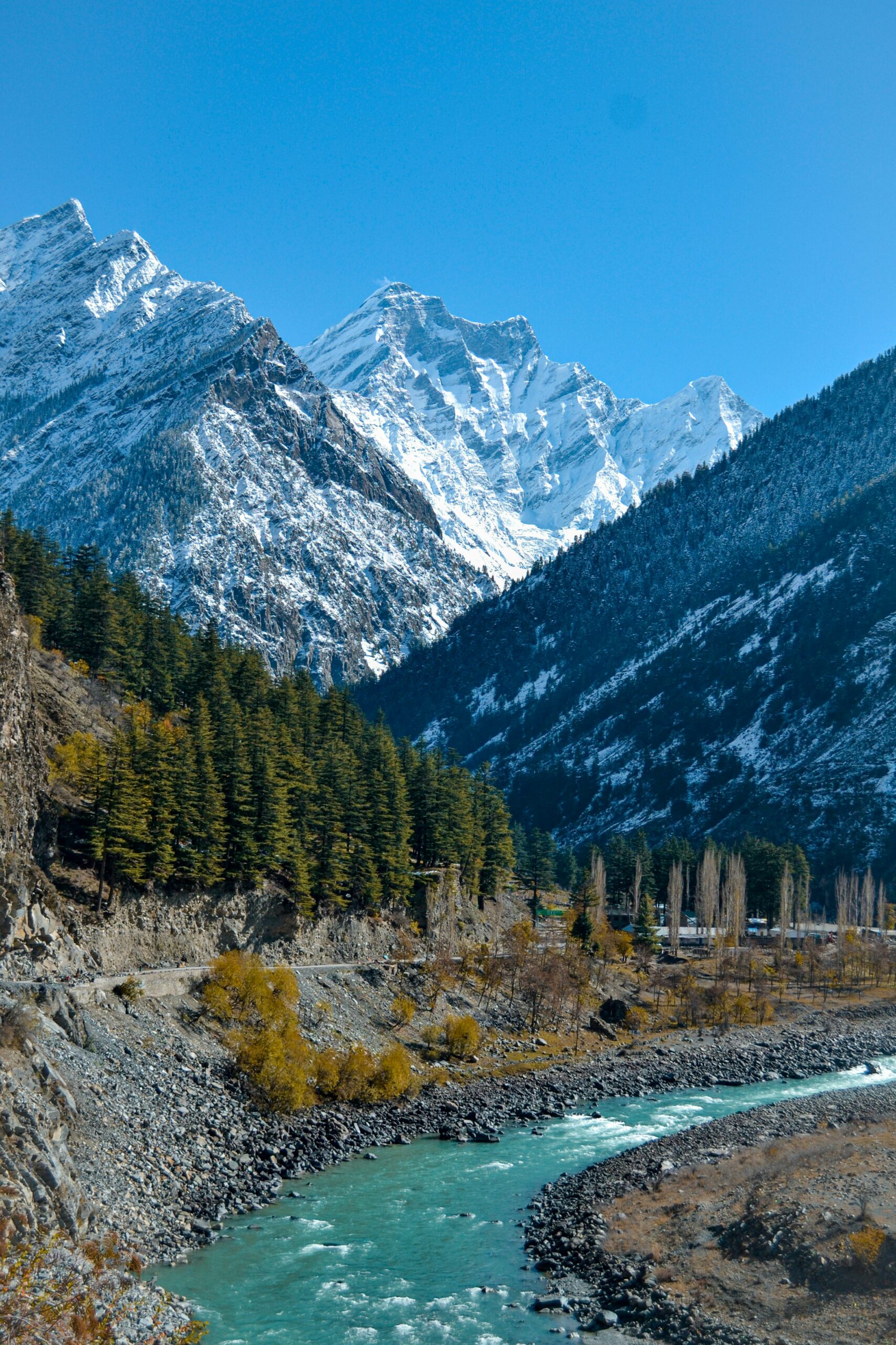 {{brizy_dc_image_alt imageSrc=